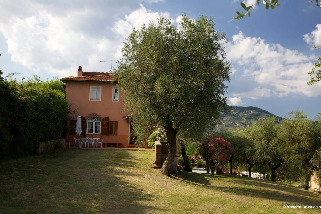 Tenuta Gaetano Spadaro Capannori Room photo