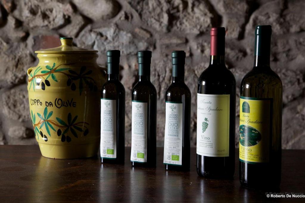 Tenuta Gaetano Spadaro Capannori Exterior photo